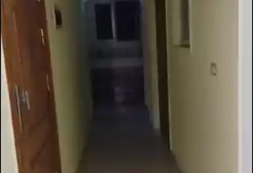 Apartments For rent - 2 rooms - floor 4