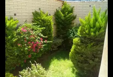 Building For sale - 3 rooms