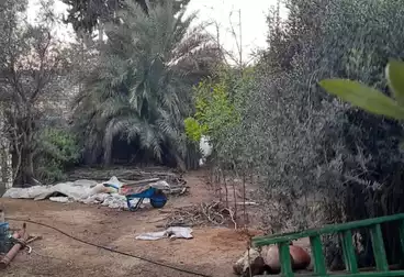 أراضي للبيع