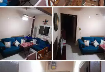 شقق للإيجار