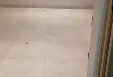 undefined undefined - 3 rooms - floor 2