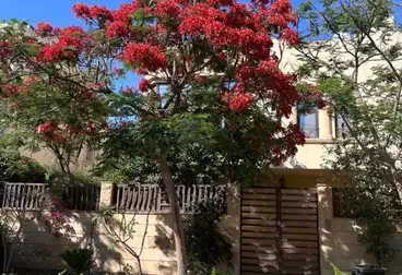 Villas For sale - 4 rooms