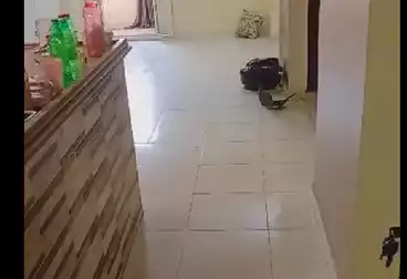 شقق للبيع - 2 غرف - بالدور 4