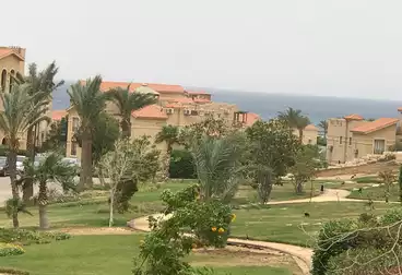 شاليهات للبيع - 2 غرف - بالدور 1
