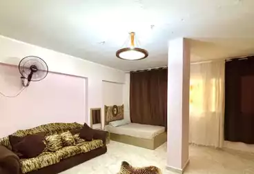 عقارات للإيجار - 3 غرف - بالدور 4