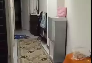 Apartments For rent - 2 rooms - floor 8