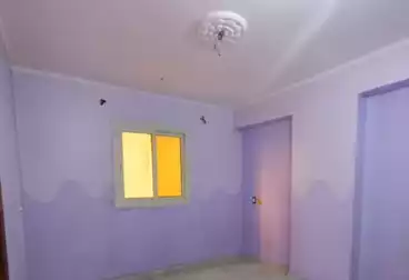 Apartments For rent - 3 rooms - floor 5