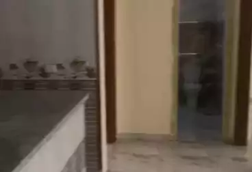 Apartments For rent - 2 rooms - floor 1