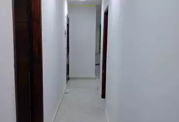 Apartments For rent - 3 rooms - floor 11