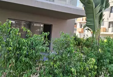 شقق للإيجار - 4 غرف - بالدور 0