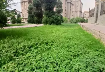شقة بحديقة للبيع - 3 غرف - بالدور 0