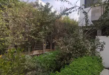 Apartments For rent - 5 rooms - floor 2