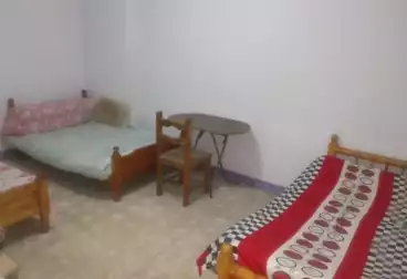 Properties For rent - 2 rooms - floor 1