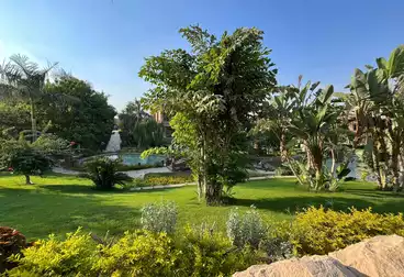 فيلا منفصلة للبيع - 6 غرف