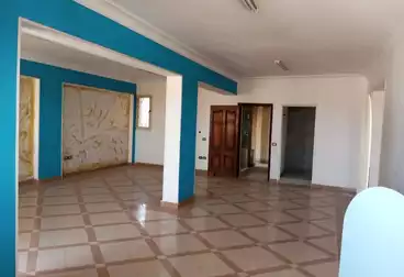 Properties For rent - 1 rooms - floor 7