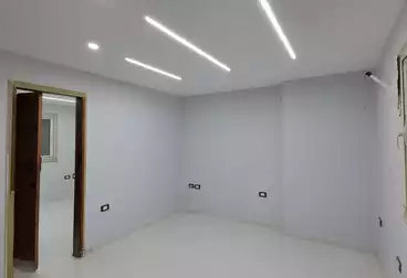 عقارات للإيجار - 3 غرف - بالدور 6