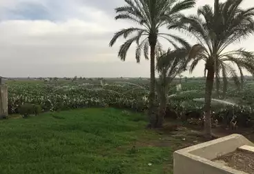 Farm For sale
