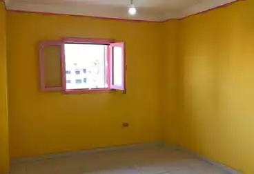 عقارات للإيجار - 3 غرف - بالدور 11