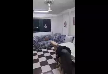 undefined undefined - 2 rooms - floor 10