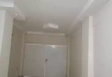 Apartments For rent - 2 rooms - floor 2
