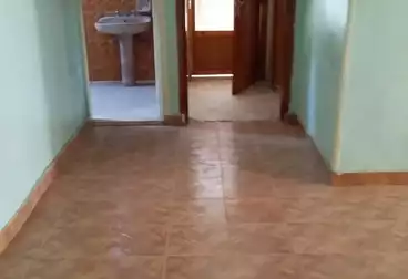 Properties For rent - 3 rooms - floor 5