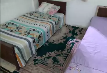 Furnished Apartment For rent - 2 rooms - floor 0