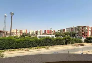 شقق للإيجار - 3 غرف - بالدور 1