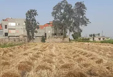 أرض زراعية للبيع