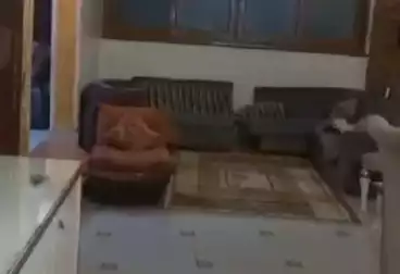 undefined undefined - 3 rooms - floor 2
