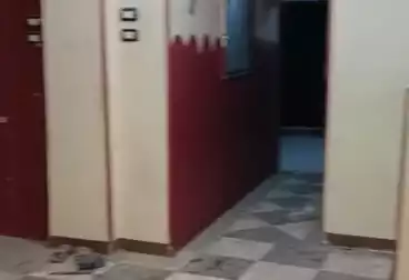 شقق للبيع - 2 غرف - بالدور 4