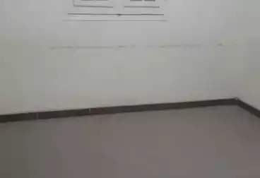 شقق للإيجار - 6 غرف - بالدور 1