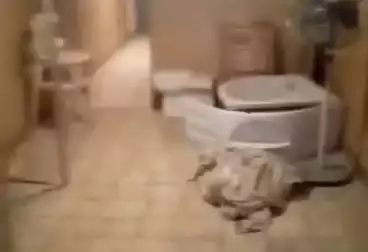 undefined undefined - 3 rooms - floor 3