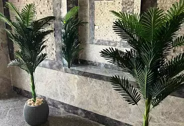 شقق للبيع - 3 غرف - بالدور 0