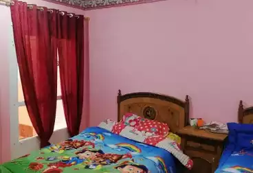 عقارات للإيجار - 2 غرف - بالدور 0