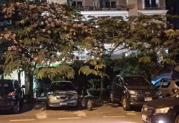 شقق للبيع - 3 غرف - بالدور 2