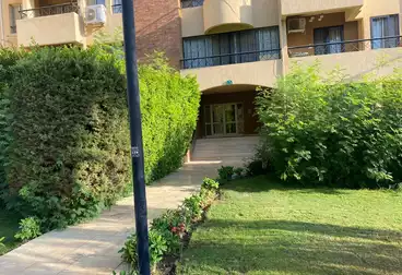عقارات للإيجار - 2 غرف - بالدور 0