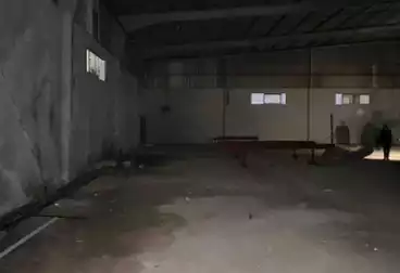 عقارات للإيجار