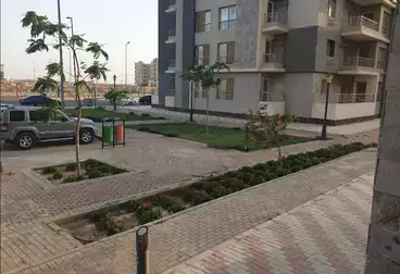 عقارات للإيجار - 3 غرف - بالدور 2