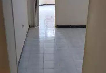 Properties For rent - 3 rooms - floor 5