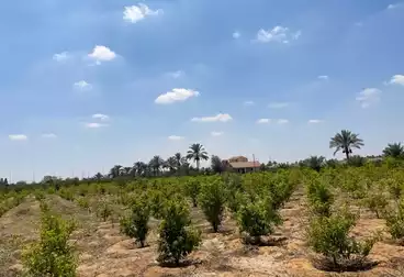Farm For sale