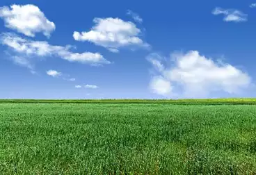 Residential Land For sale
