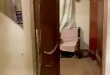 undefined undefined - 2 rooms - floor 5