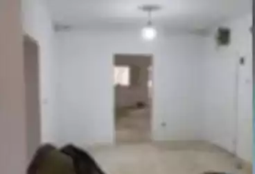 عقارات للإيجار - 3 غرف - بالدور 0