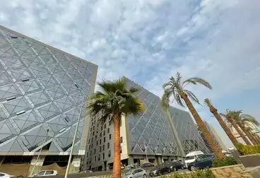 عقارات للإيجار - 12 غرف - بالدور 6