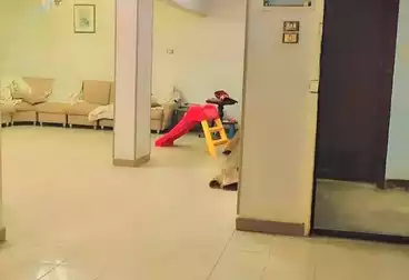 Apartments For sale - 2 rooms - floor 4