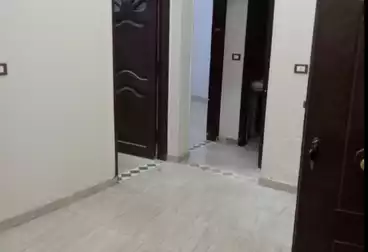 عقارات للإيجار - 2 غرف - بالدور 0