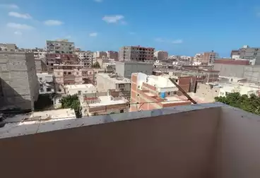 شقق للبيع - 2 غرف - بالدور 4
