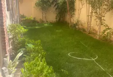 عقارات للإيجار - 2 غرف - بالدور 1