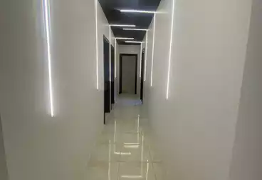 عقارات للإيجار - 3 غرف - بالدور 0