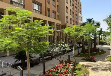 شقق للبيع - 3 غرف - بالدور 3